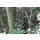 Tragopan Camo verkko 3x3m Syksy