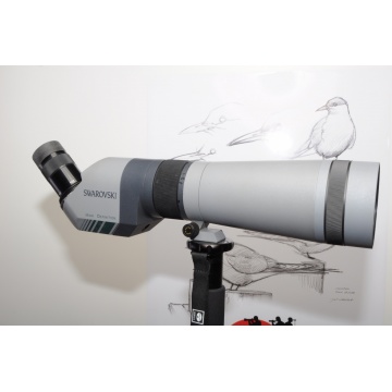 Käytetty Swarovski AT 80 HD +20-60x+suojal.