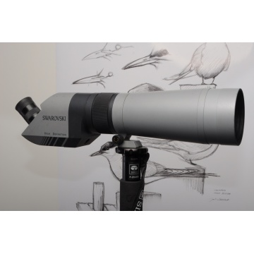 Käytetty Swarovski AT 80 HD + 30xw okulaari
