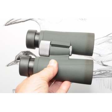 DEMO Kowa BDII42-10X