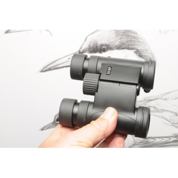DEMO Opticron T4 10x25