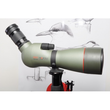 Käytetty Kowa TSN883+25-60x+case