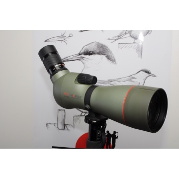 Käytetty Kowa TSN-883+25-60xw+case